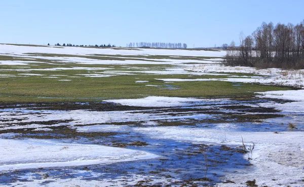 Paysage Début Printemps Dans Les Champs Par Une Journée Ensoleillée — Photo