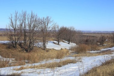 güneşli bir günde alanları baharın gelişini manzara