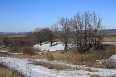 güneşli bir günde alanları baharın gelişini manzara