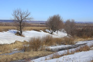 güneşli bir günde alanları baharın gelişini manzara