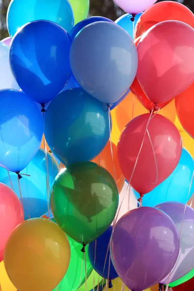 closeup of a bunch of colorful balloons on background trees in a summer park