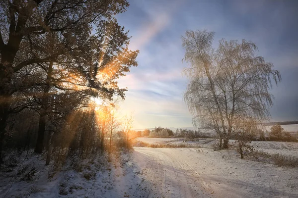 Paisagem Inverno Dos Raios Sol Através Dos Ramos Foscos Das — Fotografia de Stock