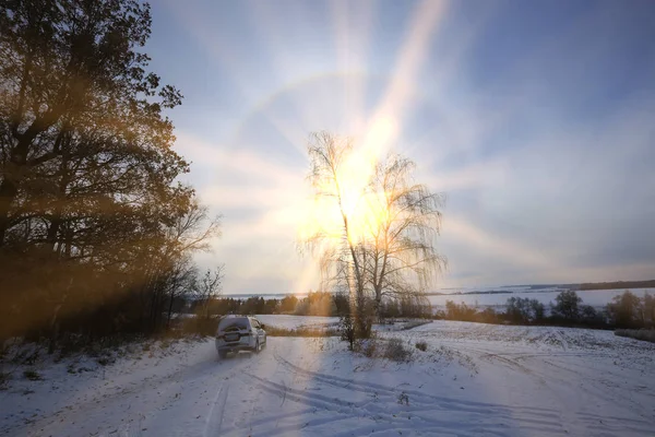 Paesaggio Invernale Dei Raggi Del Sole Attraverso Rami Glassati Degli — Foto Stock