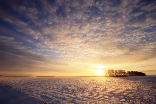 Winter Landschap Kleurrijke Zonsopgang Boven Met Sneeuw Bedekte Veld — Stockfoto