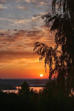 Akşam, ağaçlarının yanında kırmızı güneşi gördüğünde.