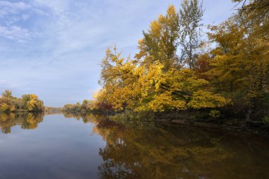 Panoramik manzara nehir ve sonbahar orman yüksek banka ile.