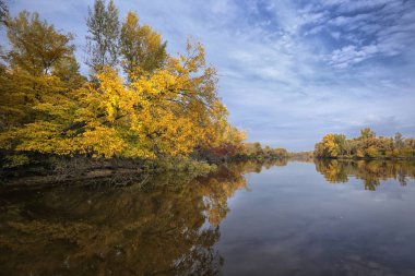 Panoramik manzara nehir ve sonbahar orman yüksek banka ile.