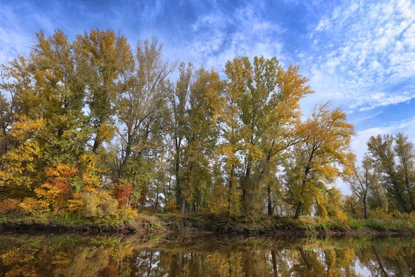 Panoramic landscape with river and autumn forest on the high Bank.