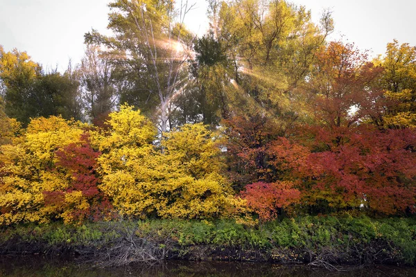 Panoramiczny Pejzaż Rzeką Jesień Las Wysokim Brzegu — Zdjęcie stockowe