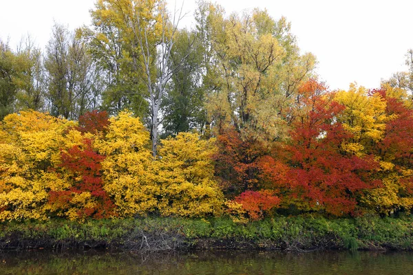 全景景观与河流和秋天森林在高岸 — 图库照片