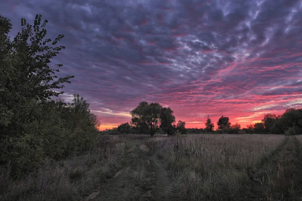 Landschaft Kumuluswolken Über Dem Feld Sonnenuntergang — Stockfoto