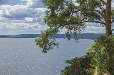 Bir güzel yüksek Nehri'nin pines ile büyümüş