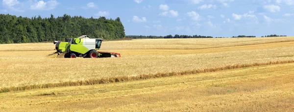 Літній Пейзаж Поєднує Комбайн Полях Сонячний День — стокове фото