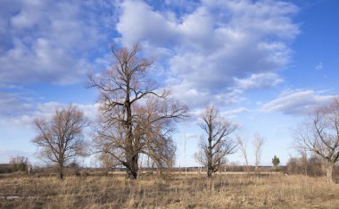 Fiyasko, nehir, orman ve bulutların üzerinde mavi bir gökyüzü, bahar yatay