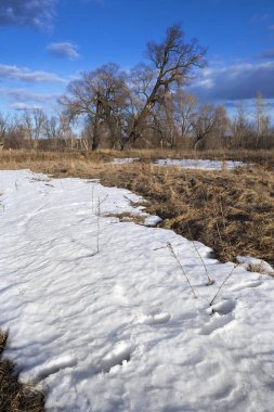 Fiyasko, nehir, orman ve bulutların üzerinde mavi bir gökyüzü, bahar yatay