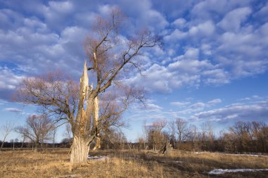 Fiyasko, nehir, orman ve bulutların üzerinde mavi bir gökyüzü, bahar yatay