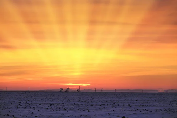 Winterlandschaft Scharlachroter Sonnenuntergang Himmel Über Einem Feld — Stockfoto