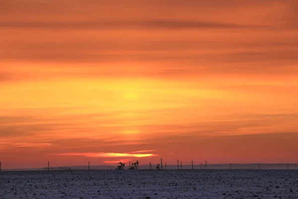 Winterlandschaft Scharlachroter Sonnenuntergang Himmel Über Einem Feld — Stockfoto