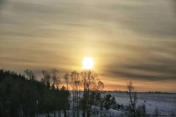 winter landscape of sunrise over the snow-covered field and trees