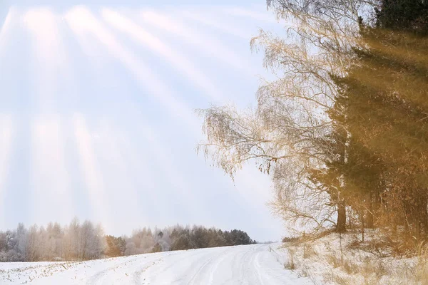 Inverno Paisagem Campos Cobertos Neve Árvores Estradas Raios Sol — Fotografia de Stock