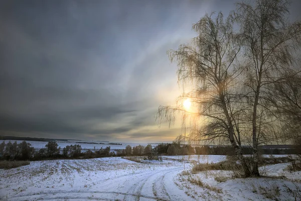 Inverno Paisagem Campos Cobertos Neve Árvores Estradas Raios Sol — Fotografia de Stock