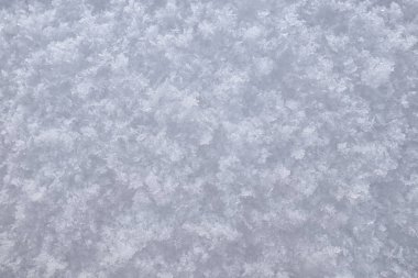 makro arka plan doku pırıl pırıl temiz karda bir alan şafak