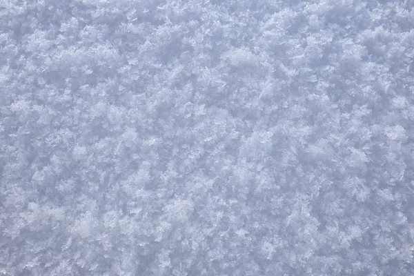 宏观背景纹理闪闪发光干净的雪在黎明的田野 — 图库照片
