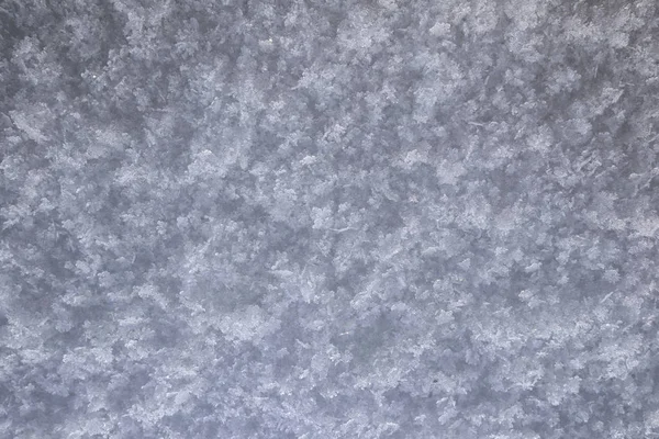 Macro Textura Fundo Brilhante Neve Limpa Campo Amanhecer — Fotografia de Stock