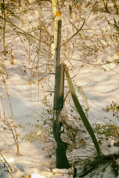 Closeup Shotgun Leaning Trunk Young Birch Tree Snow Winter — Stock Photo, Image