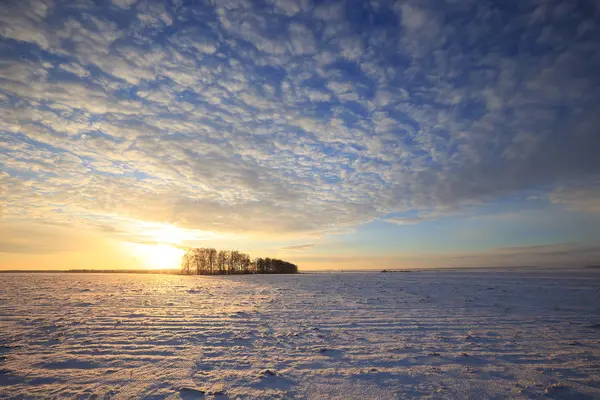 Paisagem Inverno Campos Cobertos Neve Árvores Raios Luz Solar Pôr — Fotografia de Stock