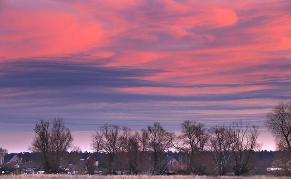 winter landscape of bright pink and purple sunset in the suburbs