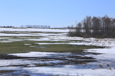 Manzara erken alanında güneşli bir bahar 