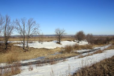 güneşli bir günde alanları baharın gelişini manzara