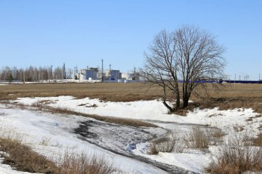 güneşli bir günde alanları baharın gelişini manzara