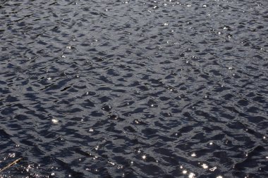 makro arka plan bulanık görüntü lekeler Nehri üzerinde güneş ışığı