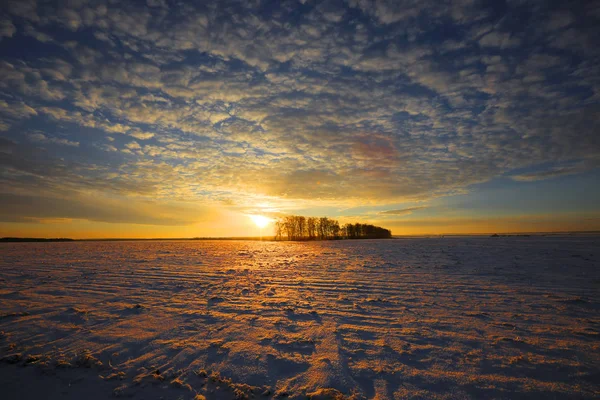 Paisagem Inverno Campos Cobertos Neve Árvores Raios Luz Solar Pôr — Fotografia de Stock