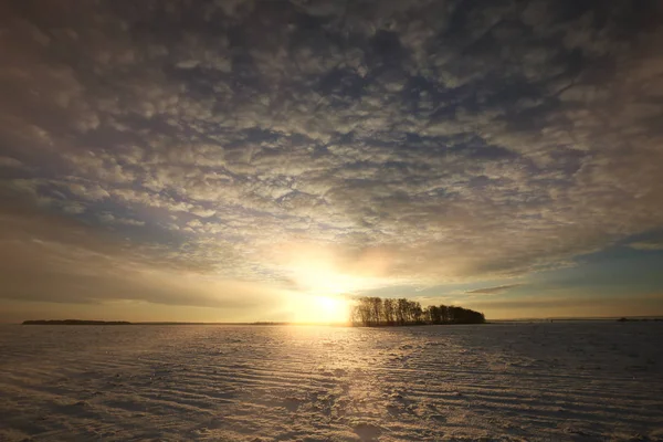 Kış Manzara Karla Kaplı Alanlar Günbatımı Güneş Işınları Ağaçlarda — Stok fotoğraf