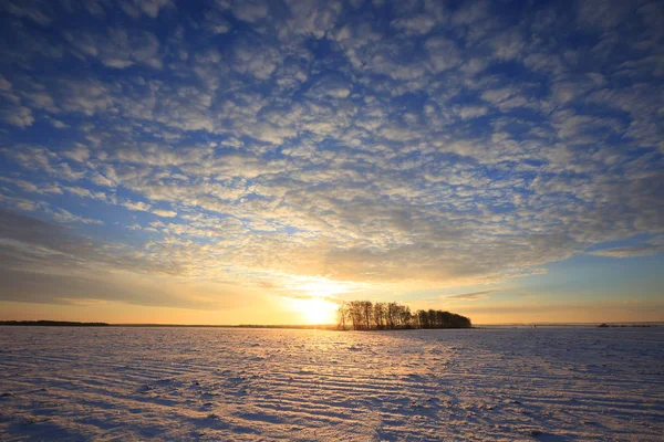 Paisagem Inverno Campos Cobertos Neve Árvores Raios Luz Solar Pôr — Fotografia de Stock