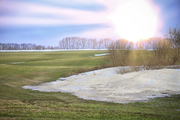landscape in early spring in the fields of new green grass under the melted snow on a cloudy day