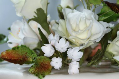 makro ustalıkla kek bir açık renkli stüdyo üzerine güzel çiçekler yapılan 