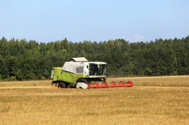 Yaz manzara güneşli bir günde hasat alanları birleştirmek