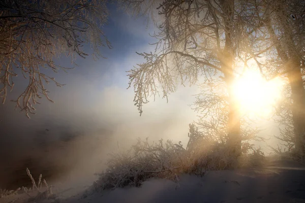 Zimní Krajina Mlhavé Ráno Řece Sluneční Paprsky Skrze Větve Stromů — Stock fotografie