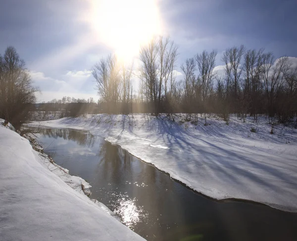 海岸に葉のない景勝地の川の木と晴れた日の雪と氷の融け早春 — ストック写真