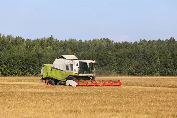 Paisaje Verano Combinan Cosechadora Los Campos Día Soleado — Foto de Stock