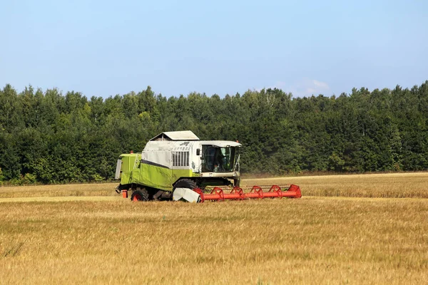 Paisaje Verano Combinan Cosechadora Los Campos Día Soleado — Foto de Stock