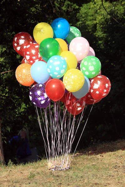 Närbild Ett Gäng Färgglada Ballonger Bakgrunden Träd Sommar Park — Stockfoto