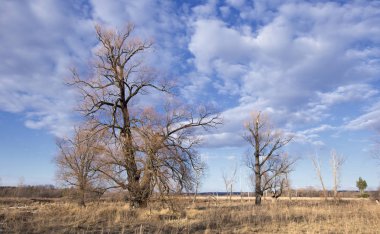 Fiyasko, nehir, orman ve bulutların üzerinde mavi bir gökyüzü, bahar yatay