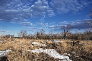 Fiyasko, nehir, orman ve bulutların üzerinde mavi bir gökyüzü, bahar yatay