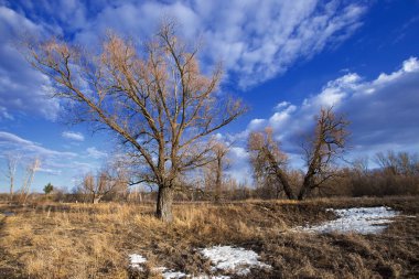 Fiyasko, nehir, orman ve bulutların üzerinde mavi bir gökyüzü, bahar yatay