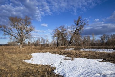 Fiyasko, nehir, orman ve bulutların üzerinde mavi bir gökyüzü, bahar yatay